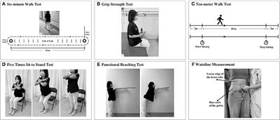 Exploring Alternative Measurements of Cardiorespiratory Fitness in Patients With Mild Ischemic Stroke at Acute Phase